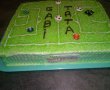 Desert tort teren de fotbal 2-0