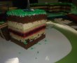 Desert tort teren de fotbal-11