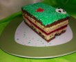 Desert tort teren de fotbal-29