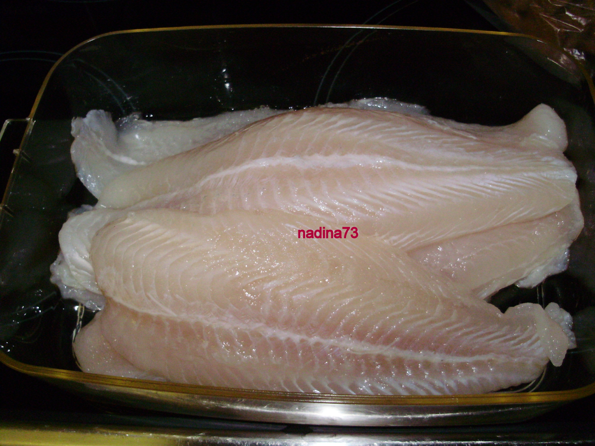 Pangasius pane