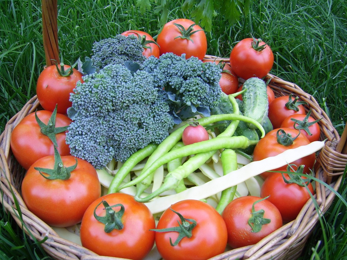 Broccoli pane cu sos de smantana