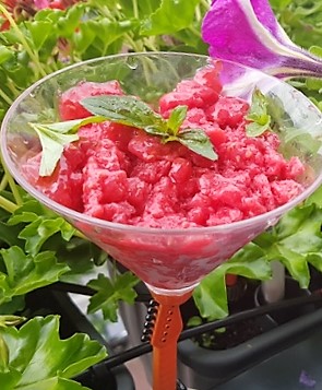 Granita de zmeura si menta