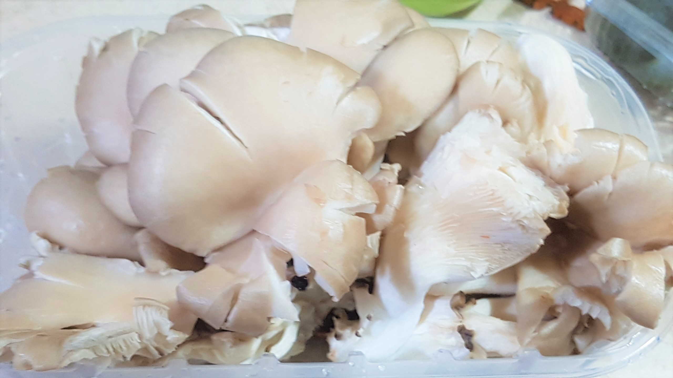 Ciorba falsa de burta 2, cu ciuperci pleurotus