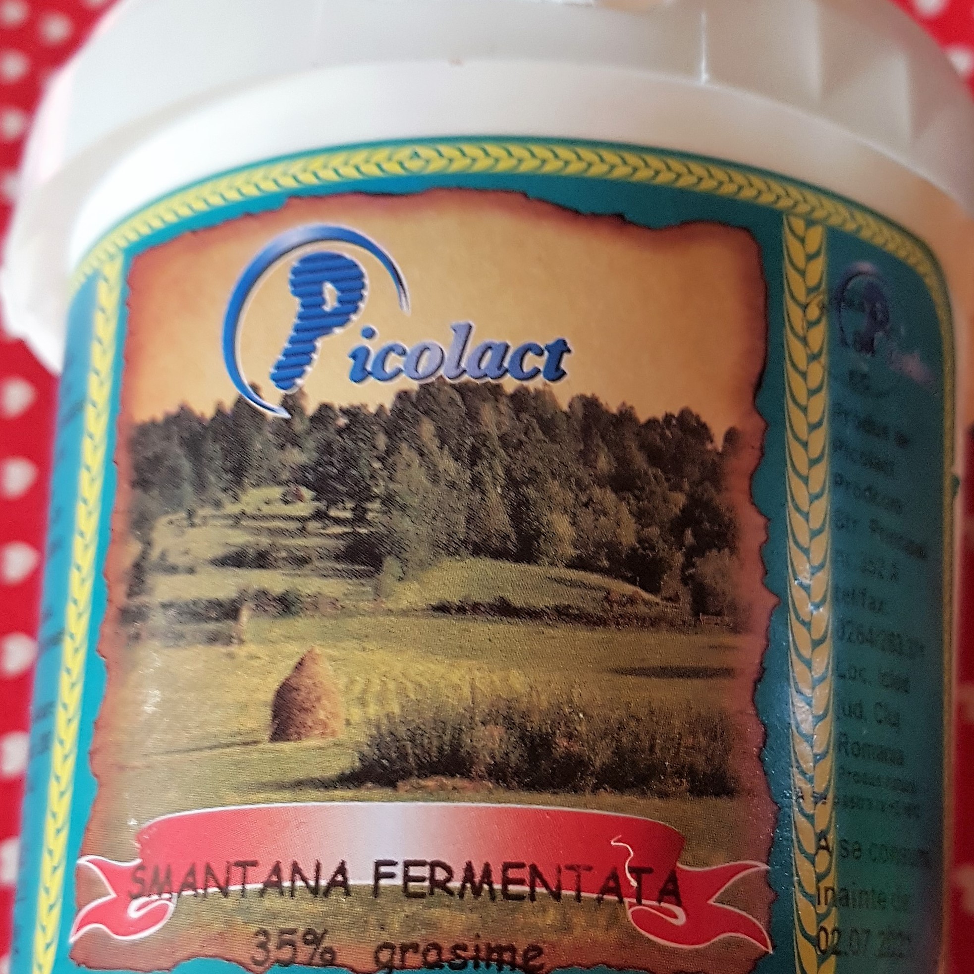 Salata de fasole galbena cu cabanos si smantana