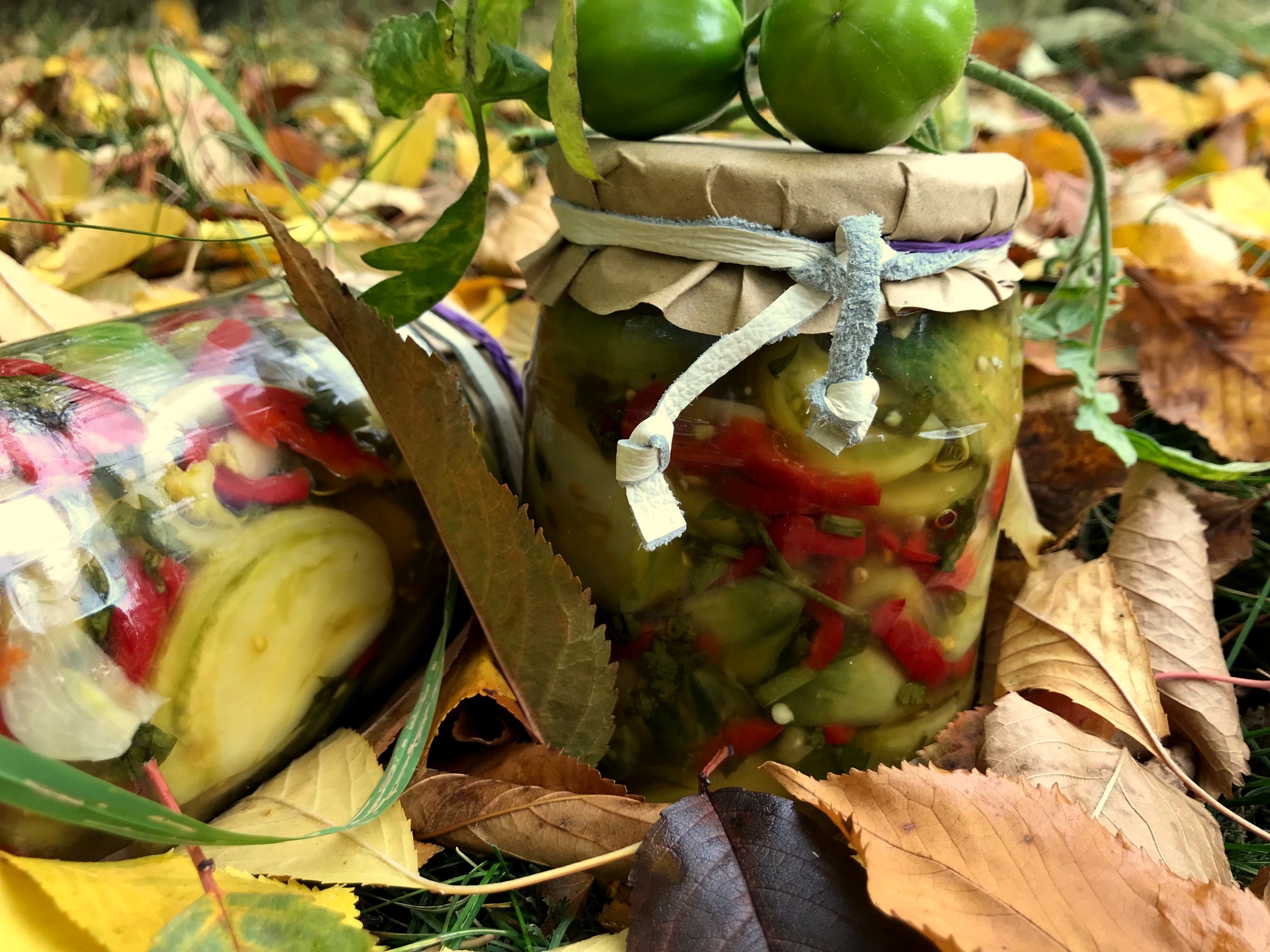 Salata ruseasca de gogonele verzi la borcan (la rece)