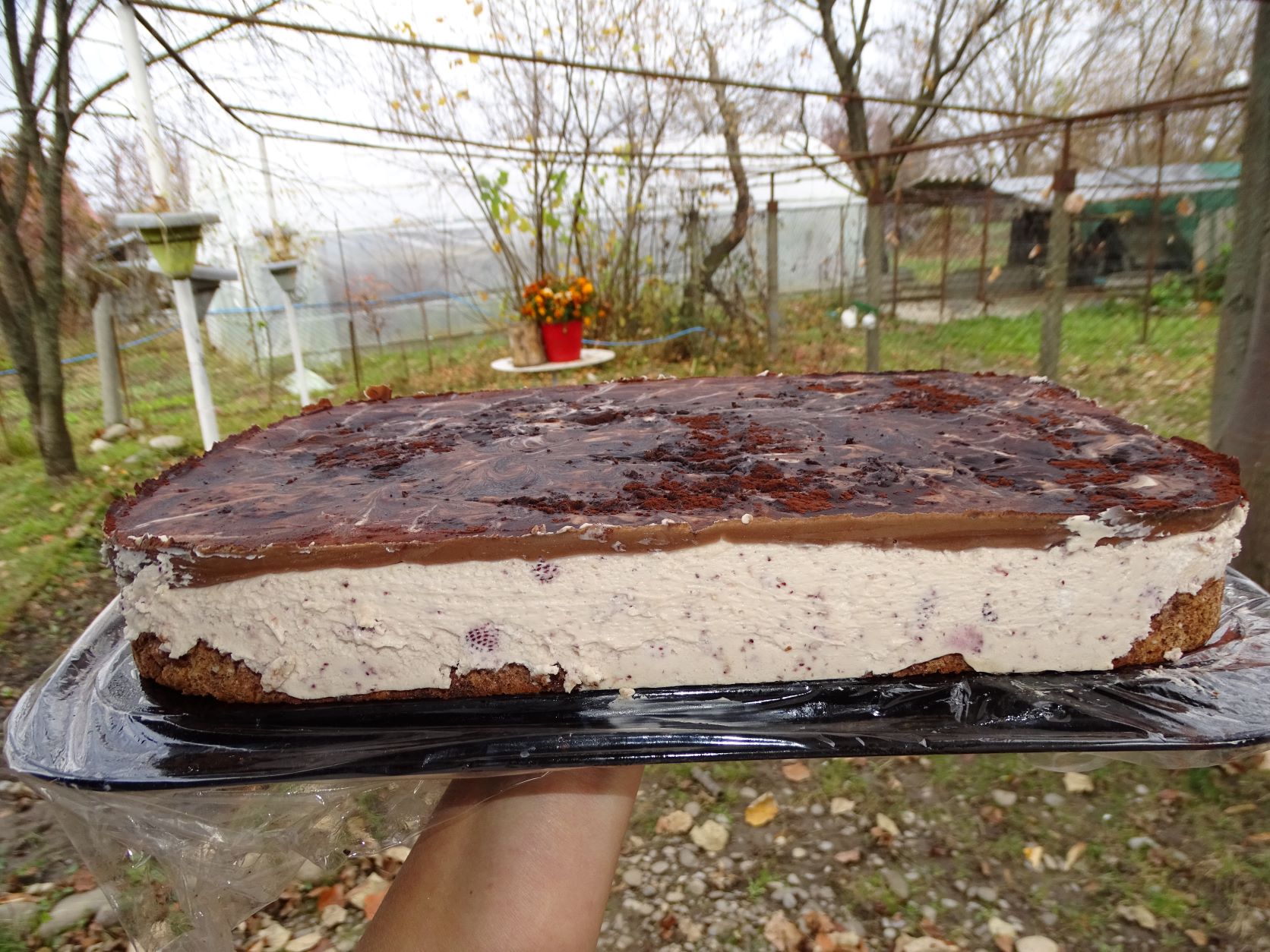 Desert prajitura Fraguta