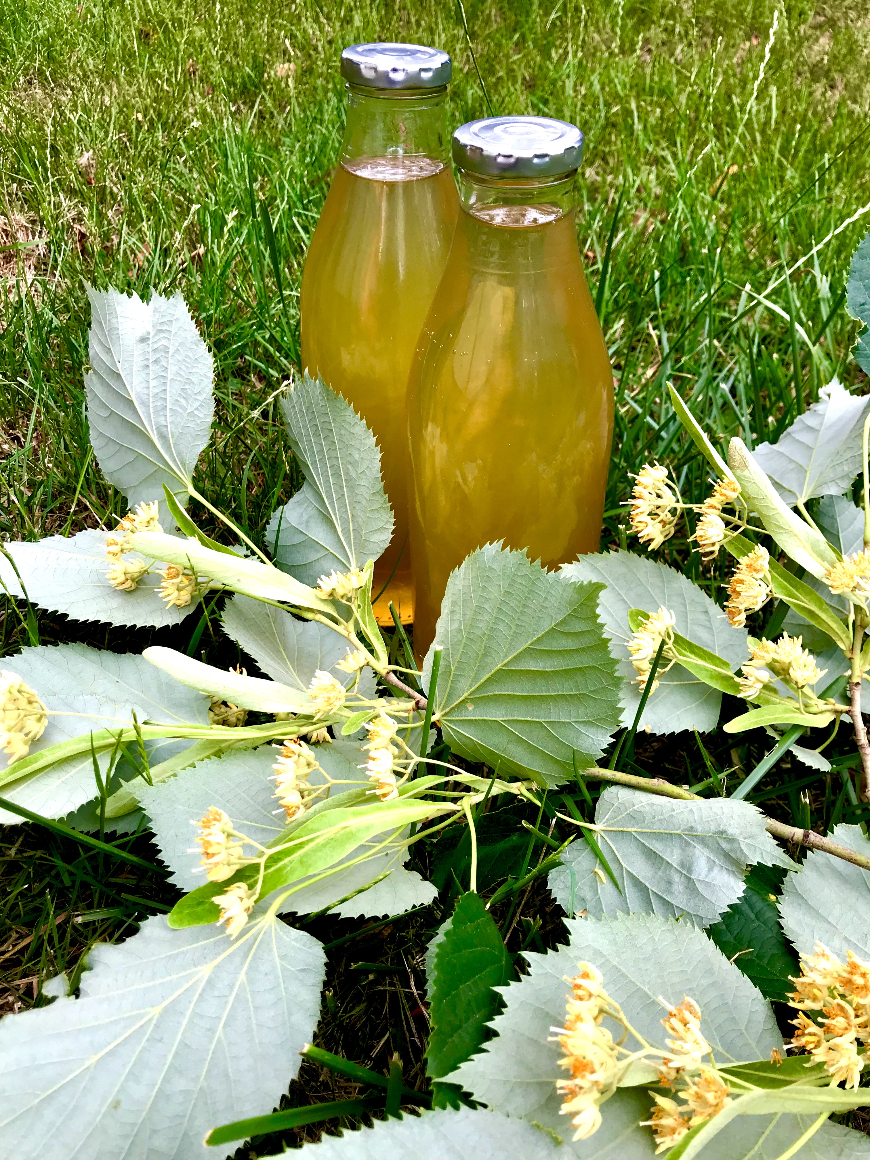 Reteta de sirop din flori de tei