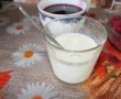 Panna Cotta cu zmeura  - Deliciu fin si cremos-6