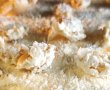 Tiramisu Raffaello - Desertul care te cucerește prin gust și aromă-1